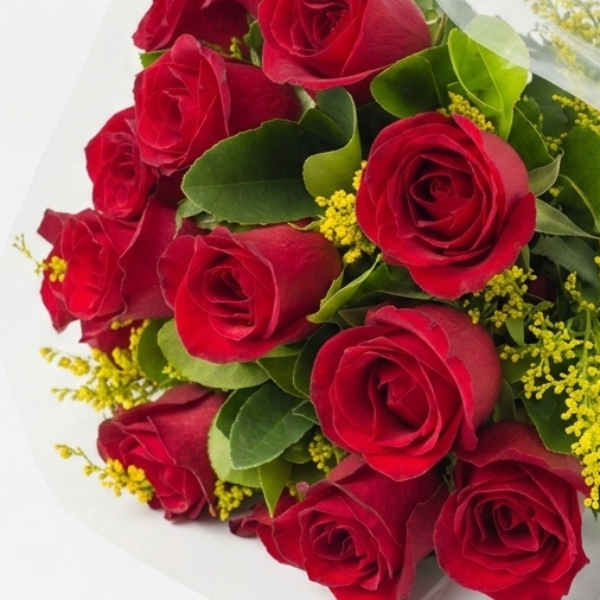 Buqu� 17 Rosas Vermelhas