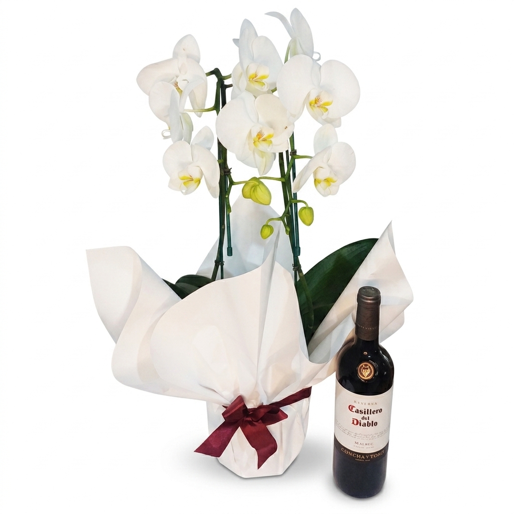 Combo Eleg�ncia: Casillero del Diablo Tinto e Orqu�dea Branca
