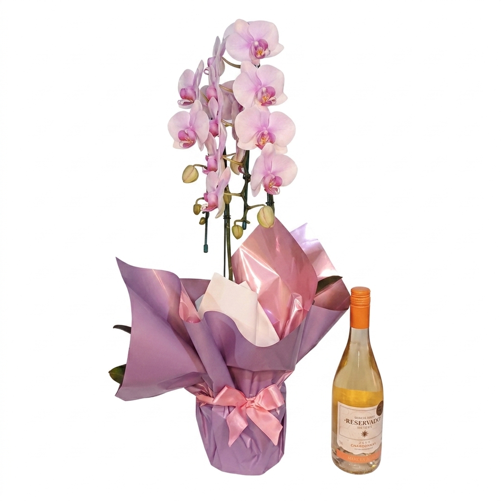 Orquidea Phalaenopsis Cascata Lil�s 2 Hastes : N�voa Lil�s e Vinho Branco