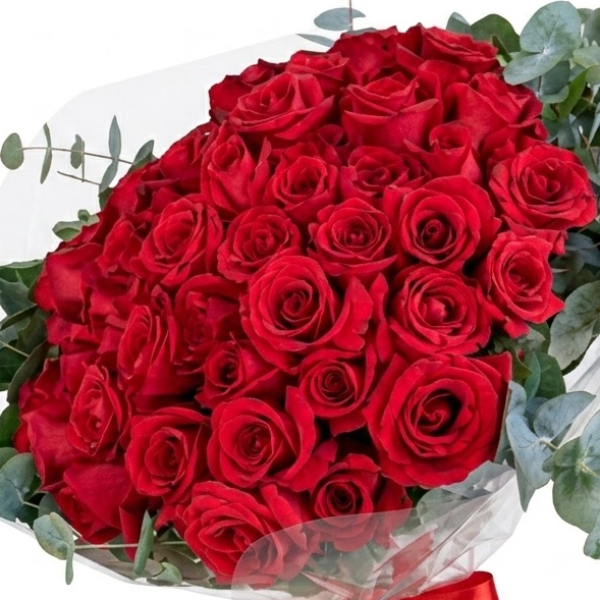 Buqu� Chuva de Rosas Rubras: 50 Rosas Importadas
