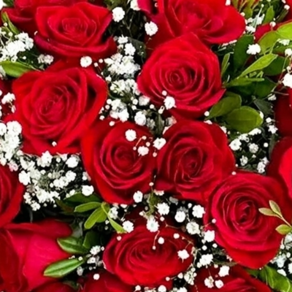 Paix�o R�stica 50 Rosas Importadas
