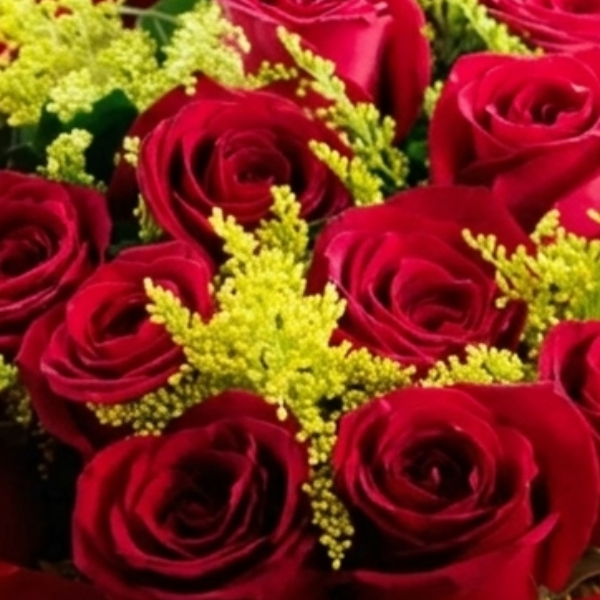 Bouquet Amor Infinito Com 20 Rosas Importadas