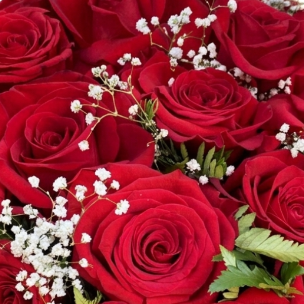 Buqu� Cl�ssico de 20 Rosas Vermelhas Importadas