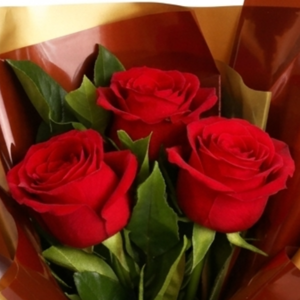 Buqu� Trio de Rosas Vermelhas Luxo
