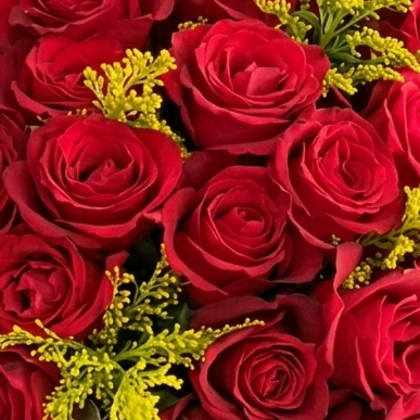 Encanto Red 30 Rosas Nacionais