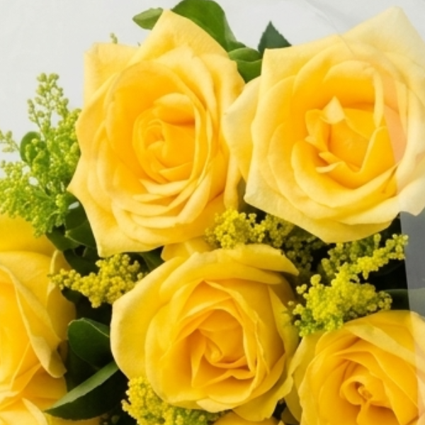 Buque 8 Rosas Amarelas - Raio de Sol de R�fia