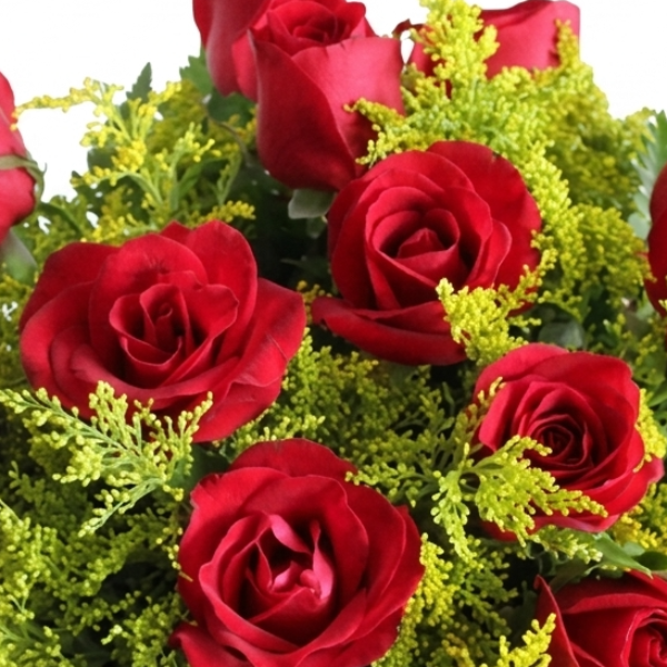 Buqu� Amor Perfeito 12 Rosas