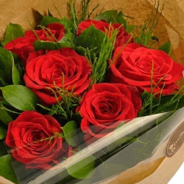Amor Sem Fim 7 Rosas Nacionais