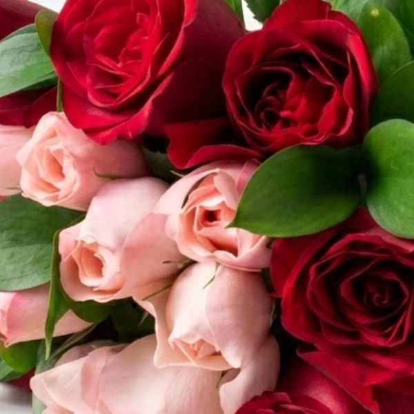 Buqu� com 15 Rosas de duas cores