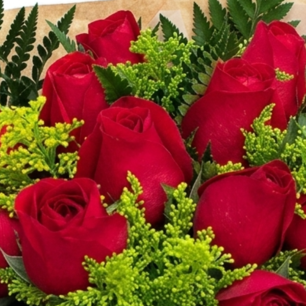 Sintonia Red
