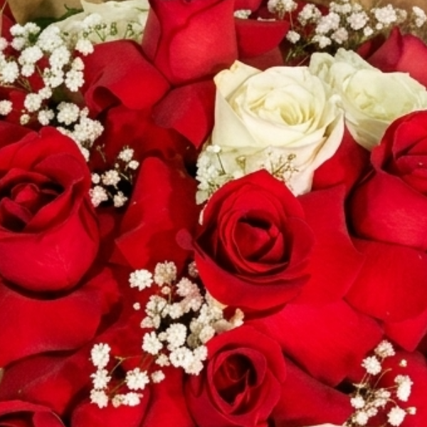 Buqu� Super Floripa 24 Rosas