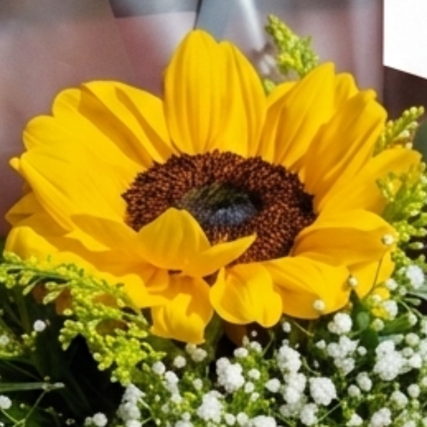 Buqu� Coreano com 1 Girassol