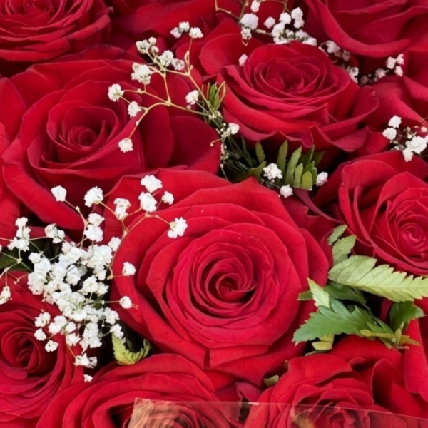 Buqu� 40 Rosas Colombianas