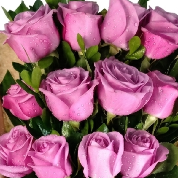 Fascina��o em Flowers