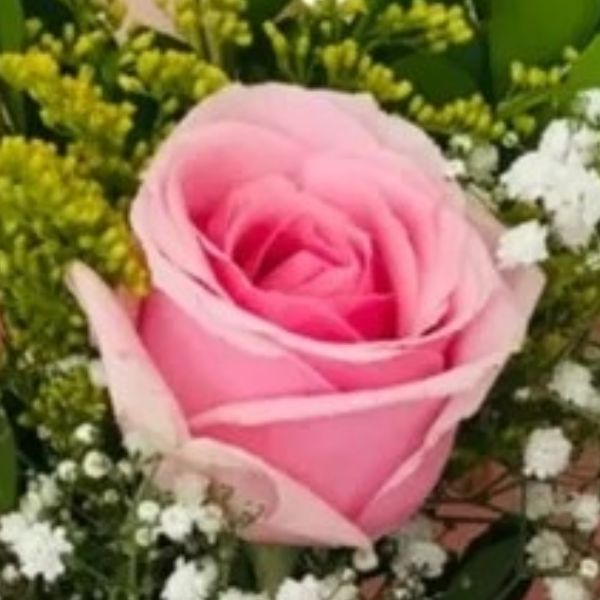 Ramalhete Encanto Rosa