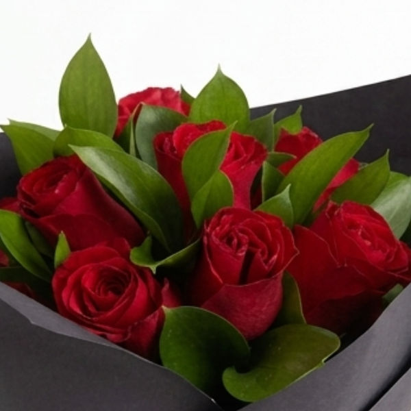 Paix�o Elegante 10 Rosas