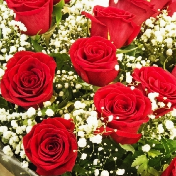 Buqu� Cora��o em Flor: 24 Rosas Vermelha Nacionais