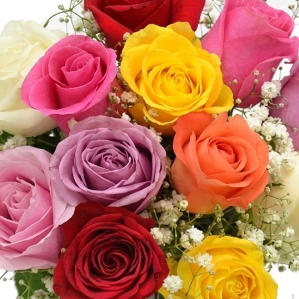 Buqu� Happy Floripa