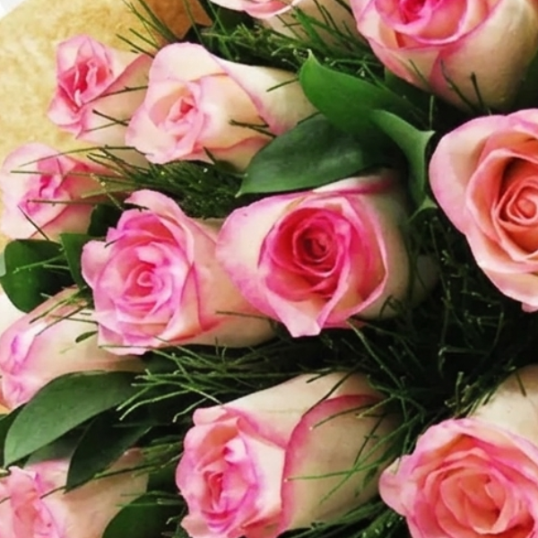 Buqu� Encanto de 15 Rosas Cor de Rosa