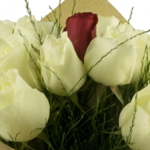 Buqu� de Rosas Brancas e Vermelha