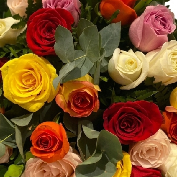 Harmonia em Cor 36 Rosas