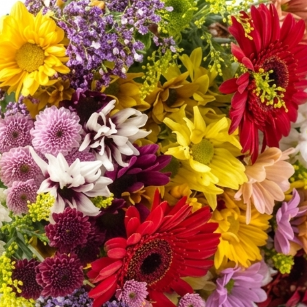Buqu� Flores do Campo