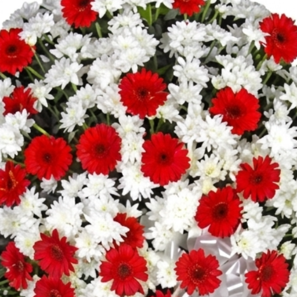 Coroa de Flores Luxo com G�rberas Vermelhas | Florian�polis - Bigua�u - S�o Jos� - Palho�a